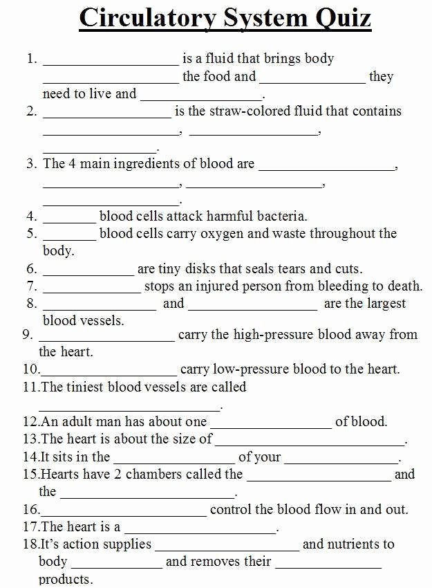 The Circulatory System Worksheet Answers Awesome Cardiovascular System Worksheet