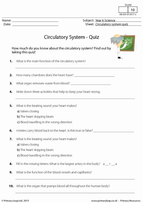 The Circulatory System Worksheet Answers Lovely Circulatory System Quiz