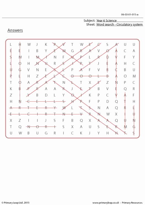 The Circulatory System Worksheet Answers Lovely Word Search Circulatory System