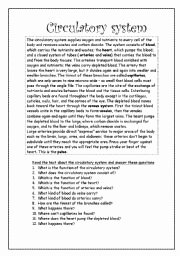 The Circulatory System Worksheet Answers Luxury Circulatory System Worksheets