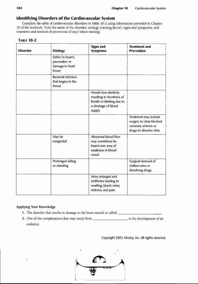 The Circulatory System Worksheet Answers New Circulatory System Worksheet