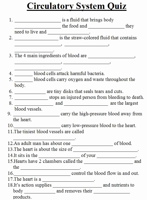 The Circulatory System Worksheet Answers Unique Mysterious Challenges Nine