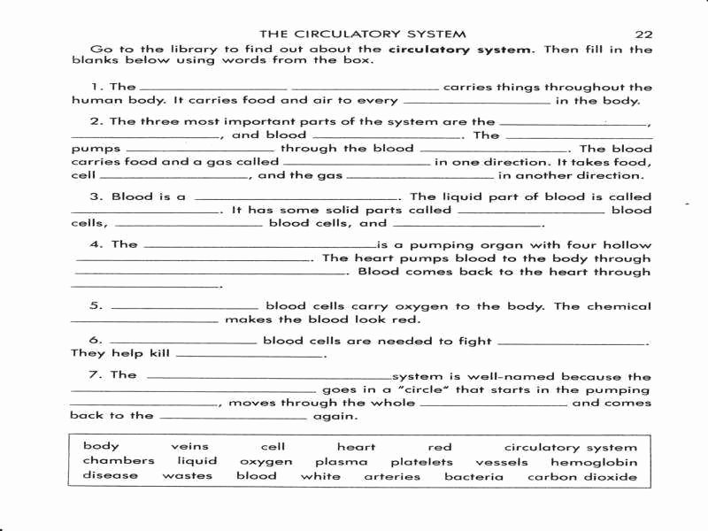 The Circulatory System Worksheet Best Of the Circulatory System Worksheet