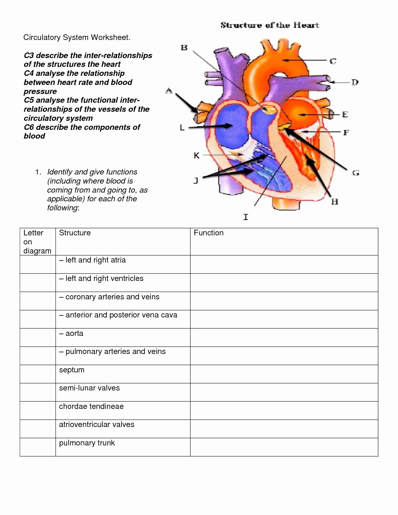 The Circulatory System Worksheet Inspirational Circulatory System Diagram Worksheet