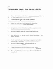 The Core Movie Worksheet Answers Lovely Dvd Guide Dna the Secret Of Life 7th 12th Grade
