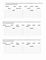 The Female Reproductive System Worksheet Awesome Male and Female Reproductive System Quick Starter by