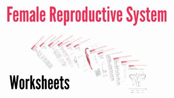 The Female Reproductive System Worksheet Beautiful Female Reproductive System Worksheets by Biogeo Science