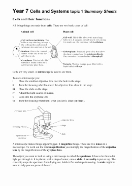 The Female Reproductive System Worksheet Elegant Human Female Reproductive System Cloze Worksheet