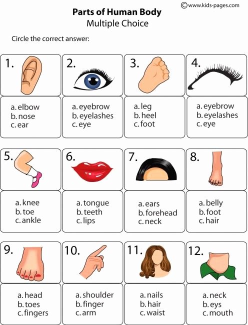 The Language Of Science Worksheet Best Of Best 25 Body Parts Ideas On Pinterest