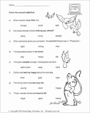 The Language Of Science Worksheet Elegant 4th Grade English Worksheets