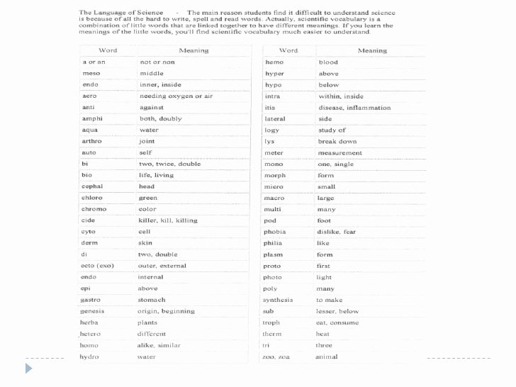 The Language Of Science Worksheet Elegant Biology the Language Of Science