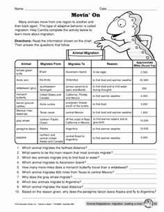 The Language Of Science Worksheet Unique 393 Best Science Images In 2019