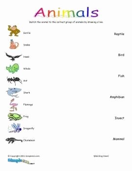 The Nature Of Science Worksheet Luxury Animal Classification Printables