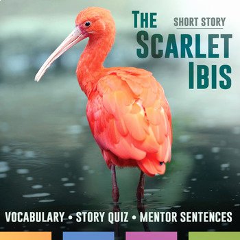 The Scarlet Ibis Worksheet Answers Elegant the Scarlet Ibis by James Hurst Quiz Mentor Sentences