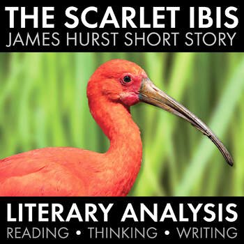 The Scarlet Ibis Worksheet Answers Unique Scarlet Ibis James Hurst 3 Day Lesson Lit Analysis