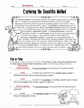 The Scientific Method Worksheet Awesome Exploring the Scientific Method Worksheet by Adventures In