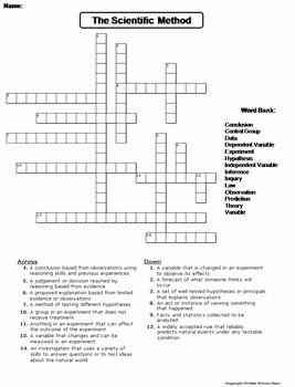 The Scientific Method Worksheet Fresh the Scientific Method Worksheet Crossword Puzzle by