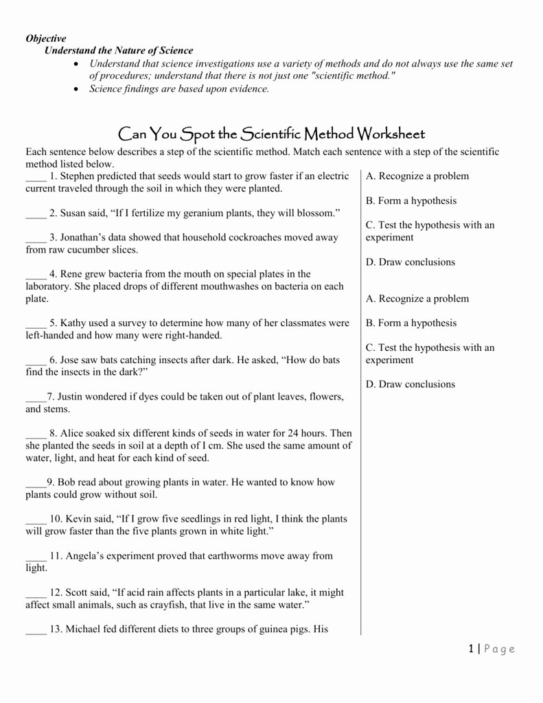 The Scientific Method Worksheet Unique Scientific Method Worksheet High School