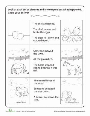 The Story Of Stuff Worksheet Best Of Story Prehension Drawing Conclusions