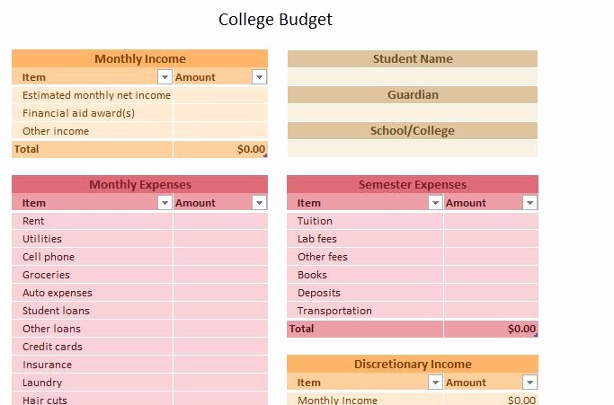 The Student Budget Worksheet Answers Inspirational College Bud Template