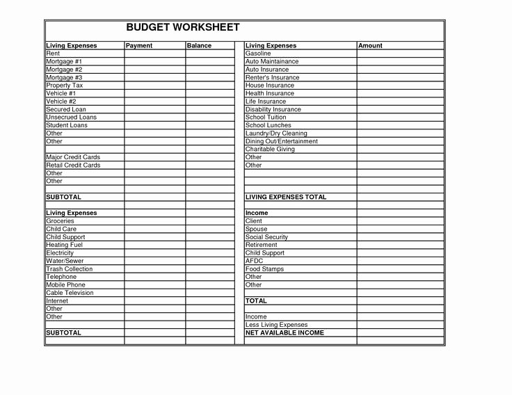 The Student Budget Worksheet Answers Unique 17 Best Epilepsy Images On Pinterest