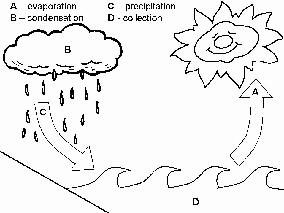The Water Cycle Worksheet Answers Awesome the Water Cycle Practice