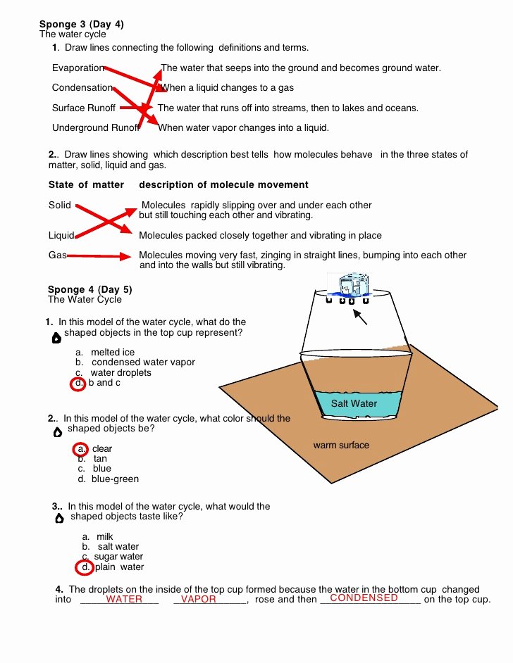 The Water Cycle Worksheet Answers Awesome Water Cycle Worksheet S Swers