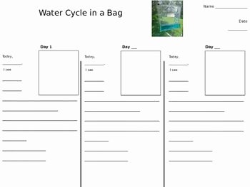 The Water Cycle Worksheet Answers Elegant Water Cycle In A Bag Worksheet Weather