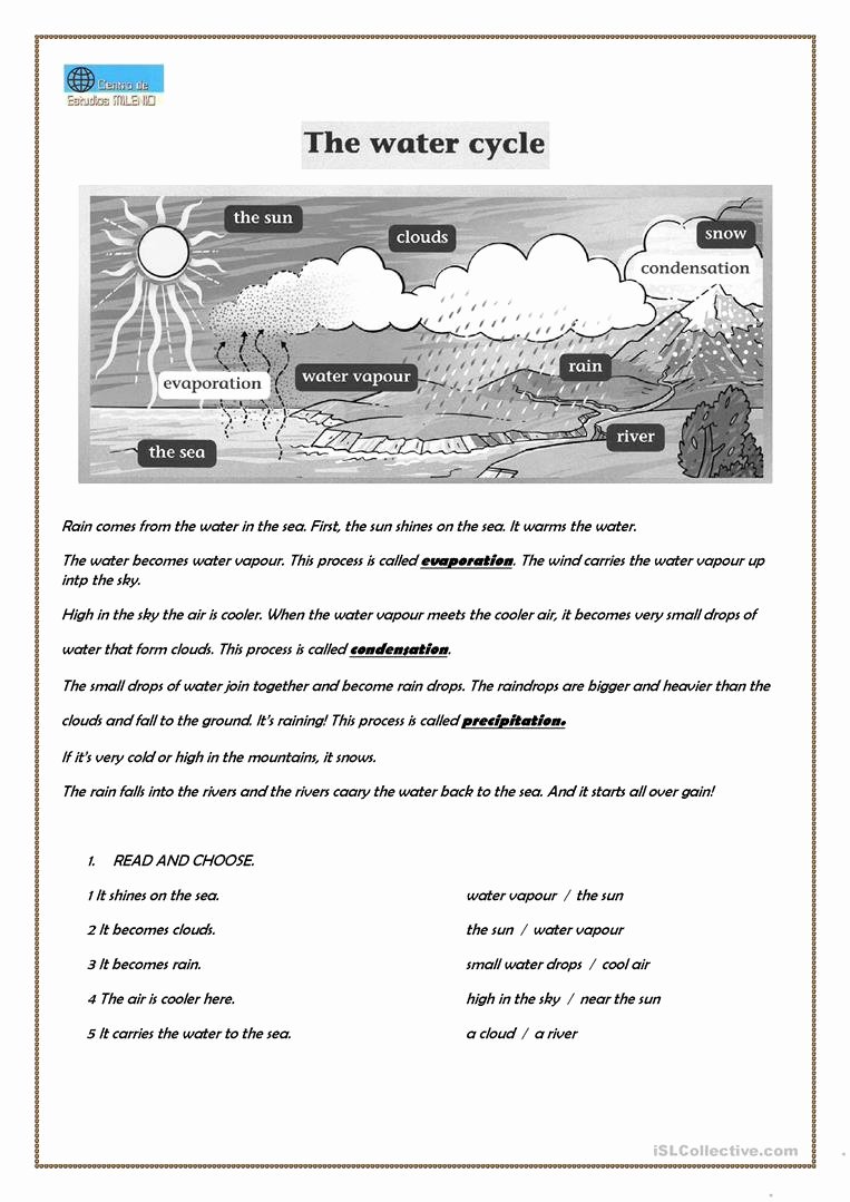 The Water Cycle Worksheet Answers Lovely the Water Cycle Worksheet Free Esl Printable Worksheets