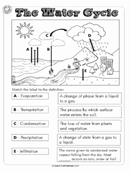 The Water Cycle Worksheet Answers Luxury Teach This Worksheets Create and Customise Your Own