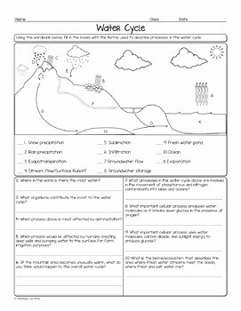 The Water Cycle Worksheet Answers Luxury Water Cycle Biology Homework Worksheet by Science with Mrs