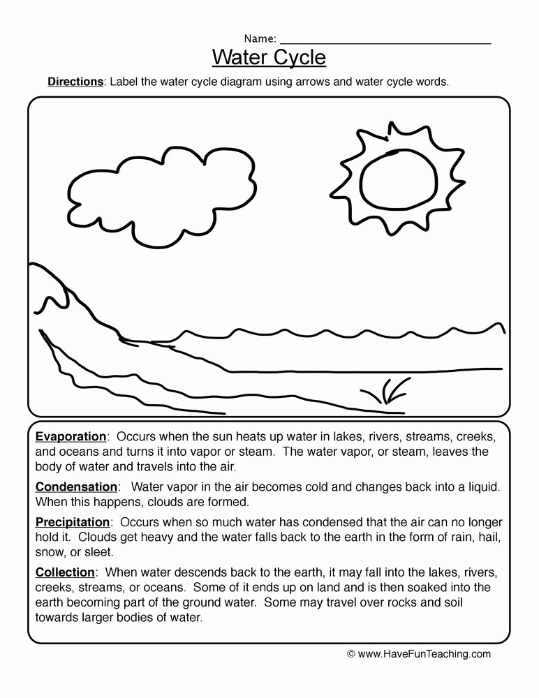 The Water Cycle Worksheet Answers Unique Water Cycle Worksheets