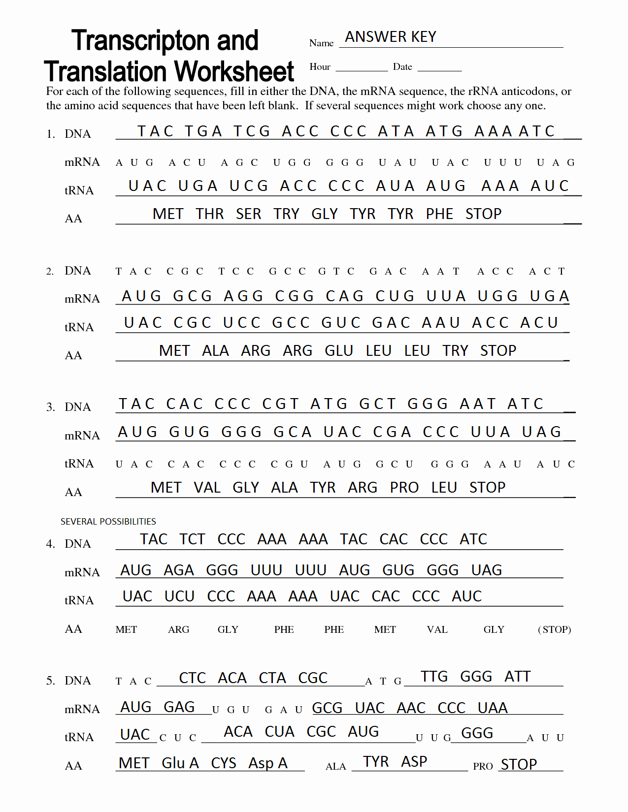 46 Transcription And Translation Practice Worksheet