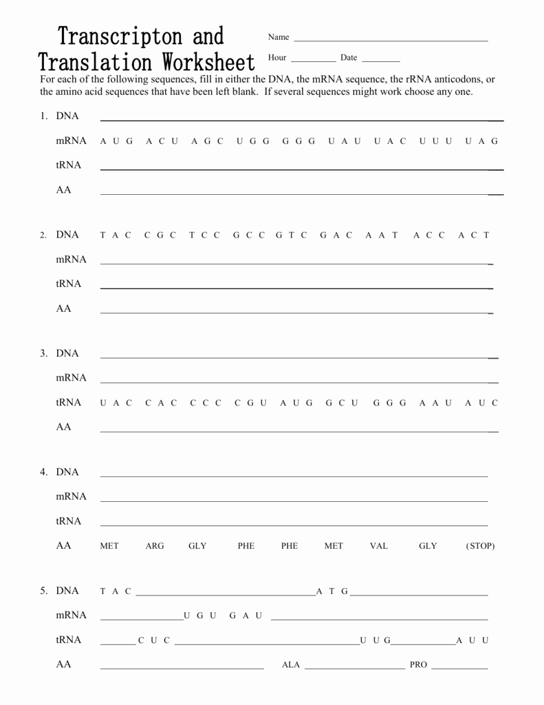 Transcription and Translation Practice Worksheet Luxury Transcription and Translation Practice Worksheet Answers