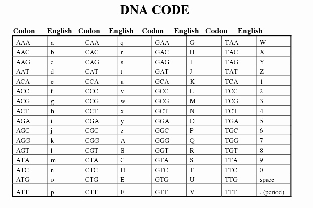 Transcription and Translation Worksheet Answers Awesome 8 Best Of Dna Code Codon Worksheet Dna