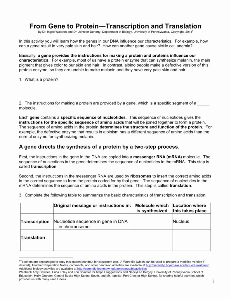 50 Transcription And Translation Worksheet Answers Chessmuseum