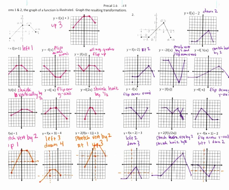 50 Transformations Of Functions Worksheet Answers