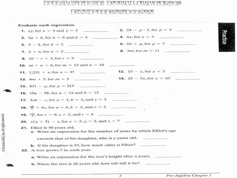 Translating Algebraic Expressions Worksheet Unique Translating Algebraic Expressions Worksheet