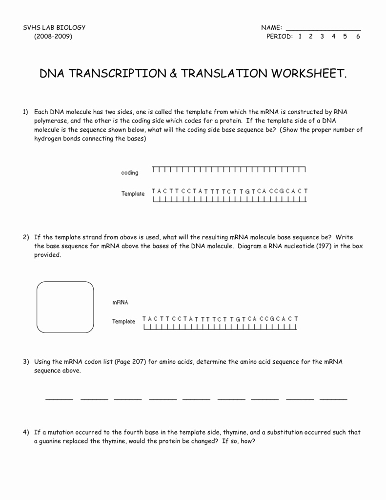 Translation and Transcription Worksheet New Dna Transcription &amp; Translation Worksheet