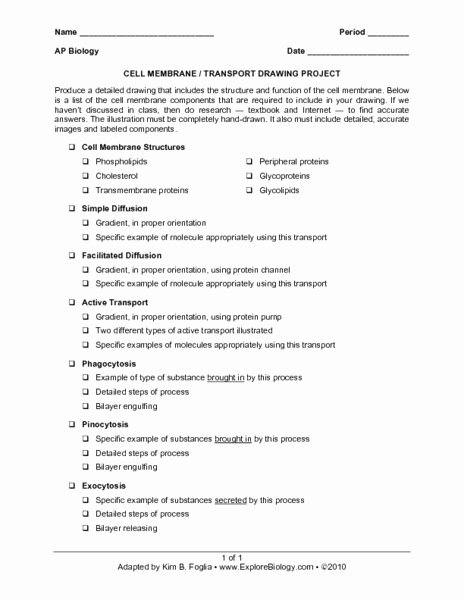 Transport In Cells Worksheet Answers Best Of 55 Transport In Cells Worksheet Cells and Transport