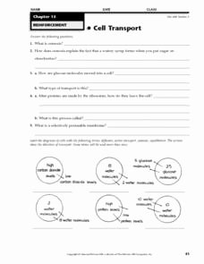 Transport In Cells Worksheet Answers Best Of Cell Transport 9th Grade Worksheet