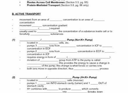 Transport In Cells Worksheet Answers Elegant 25 Best Ideas About Active and Passive Voice Pinterest