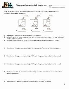 Transport In Cells Worksheet Answers Lovely Transport Across the Cell Membrane Worksheet Osmosis