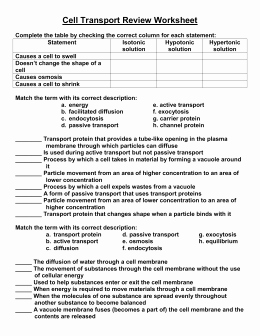 Transport In Cells Worksheet Answers Luxury Cell Transport Review Worksheet