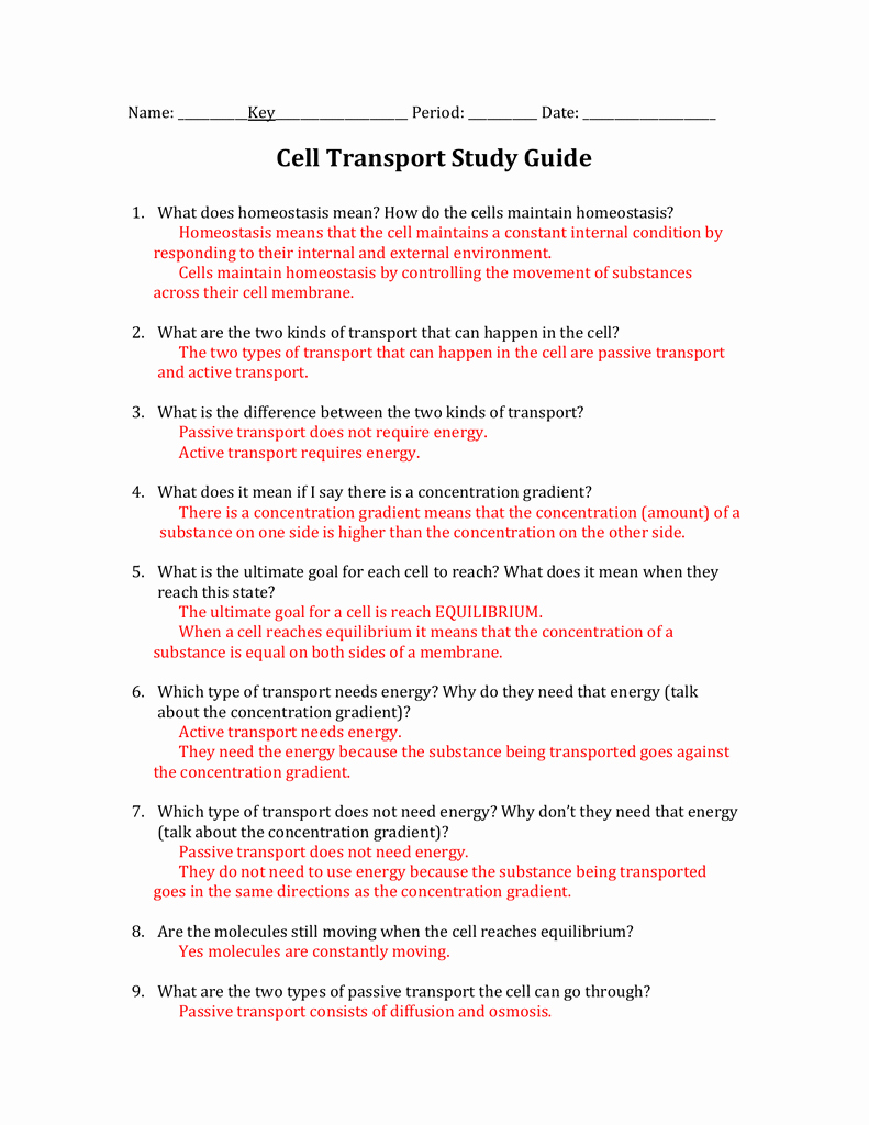 Transport In Cells Worksheet Answers Luxury Cell Transport Study Guide Answers