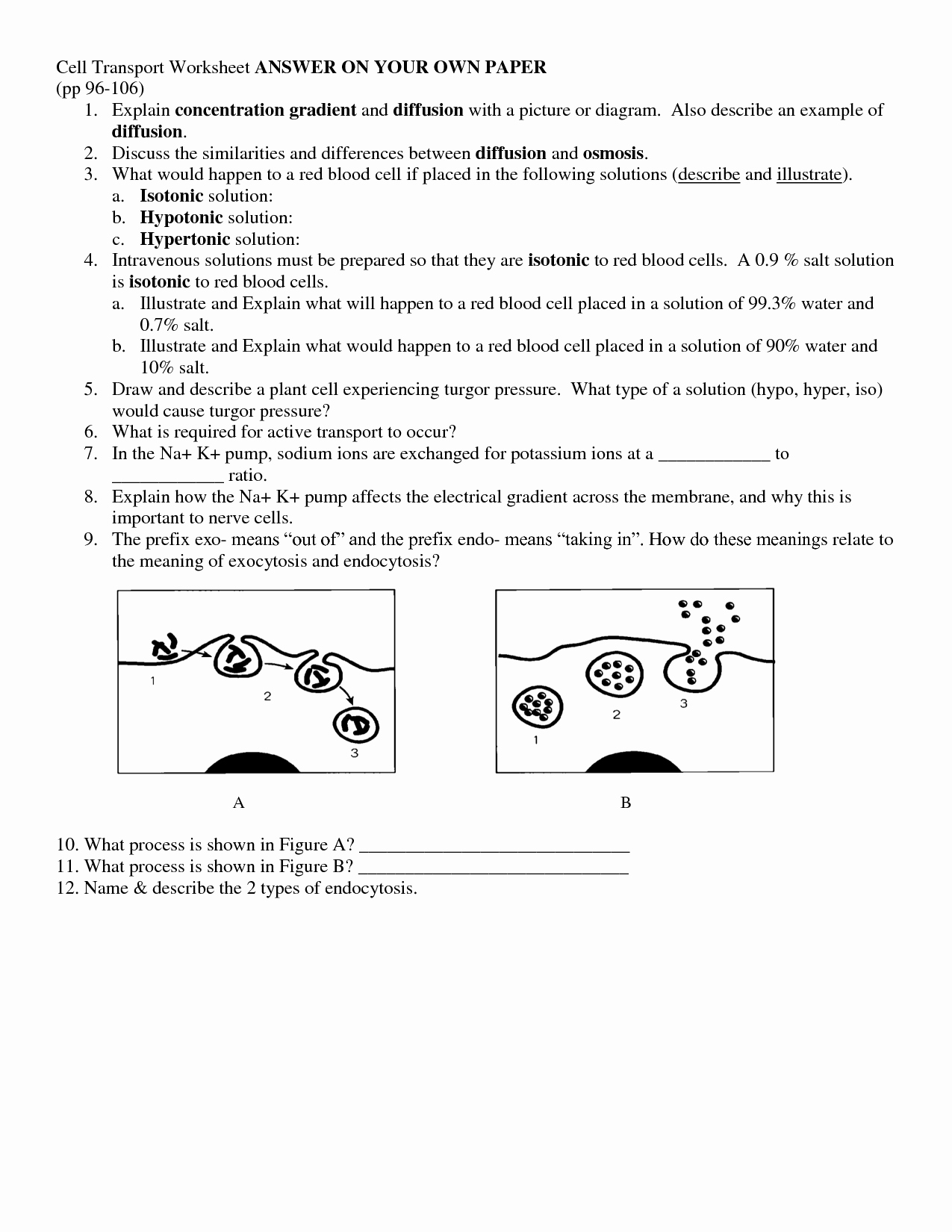 Transport In Cells Worksheet Answers Unique 11 Best Of Active Passive Voice Worksheet Active