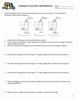 Transport In Cells Worksheet Unique This Worksheet Was Written for My Biology I Class It is A