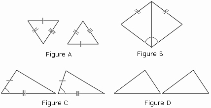 Triangle Congruence Worksheet Answers New Congruent Triangles Activity
