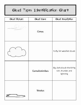 Types Of Clouds Worksheet Elegant Identifying Cloud Types Worksheet Chart by Fumbling Thru