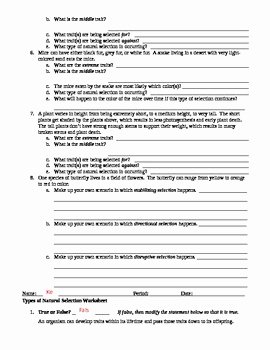 Types Of Evolution Worksheet New Types Of Natural Selection Worksheet by Briana Ransom